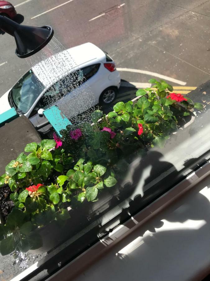 Lwr Ormeau Guest House Белфаст Екстериор снимка